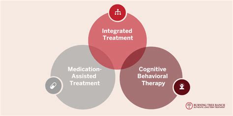 co-occuring mental health disorders gulfport|Integrating Treatment for Co.